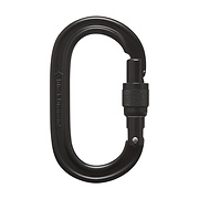 Карабін Black Diamond Oval Keylock Screwgate Black